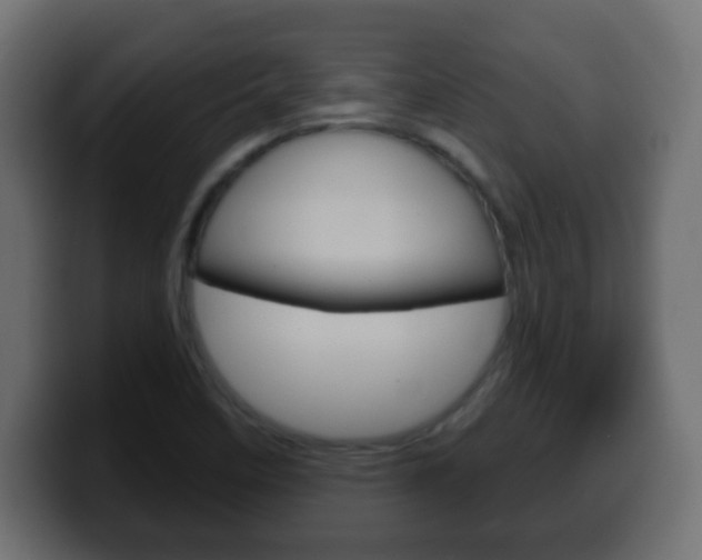 X0000100401458200806060844