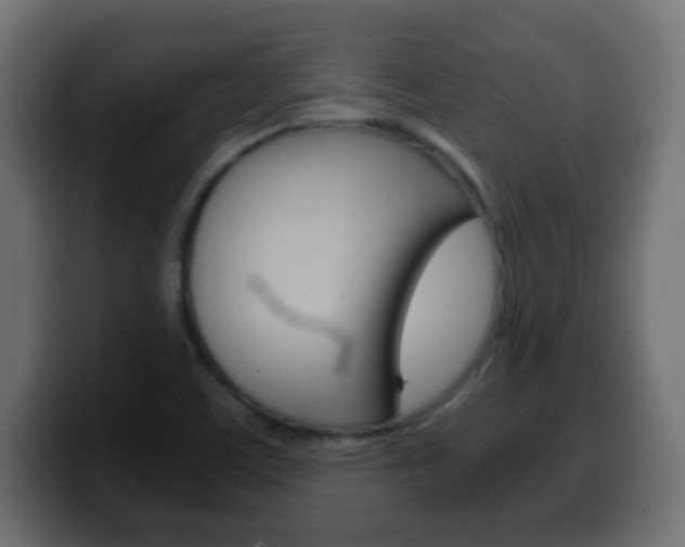 X0000100401459200806060844
