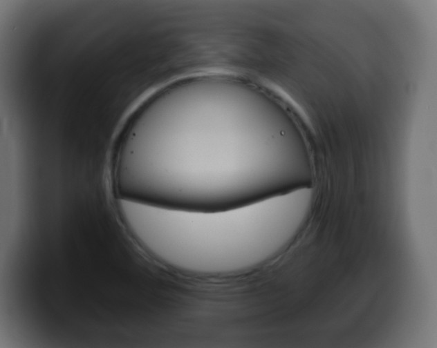 X0000100401460200806060844