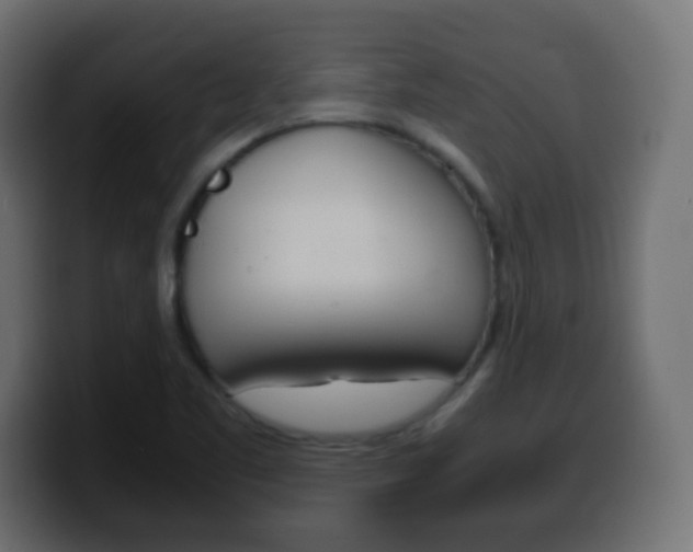 X0000100401461200806060844