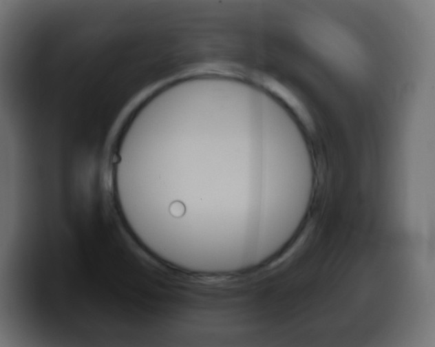 X0000100401462200806060844