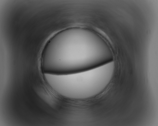 X0000100401463200806060844