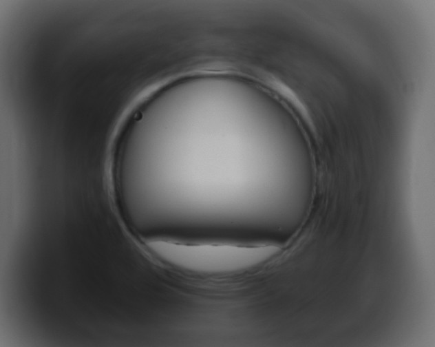 X0000100401464200806060844