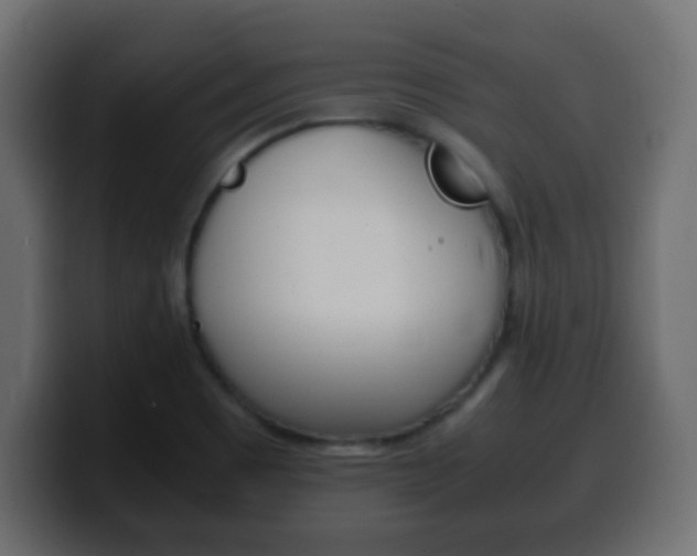 X0000100401465200806060844