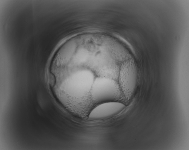 X0000100401467200806060844