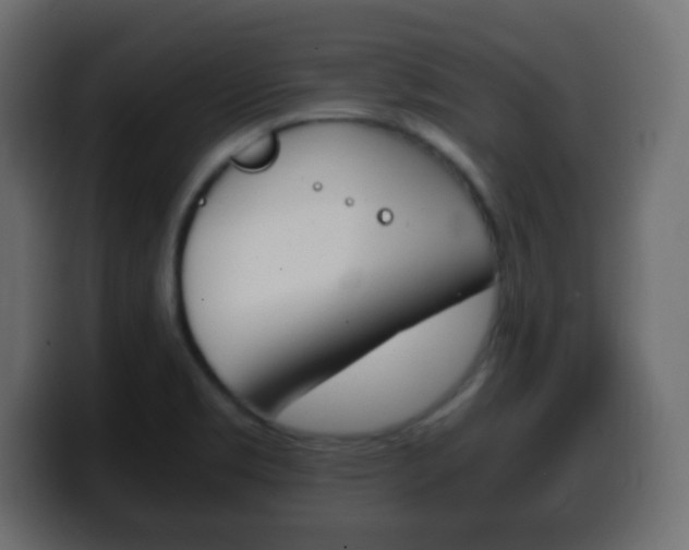 X0000100401469200806060844