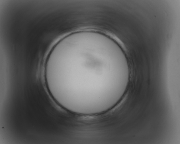 X0000100401470200806060844