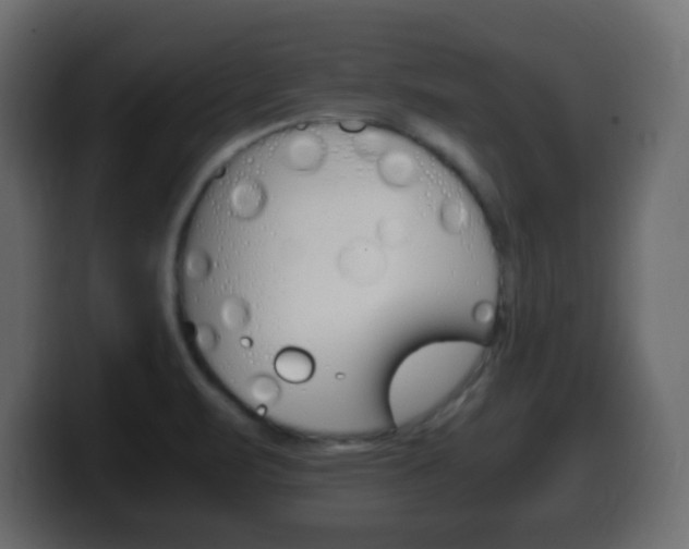 X0000100401471200806060844