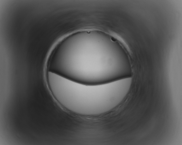 X0000100401472200806060844