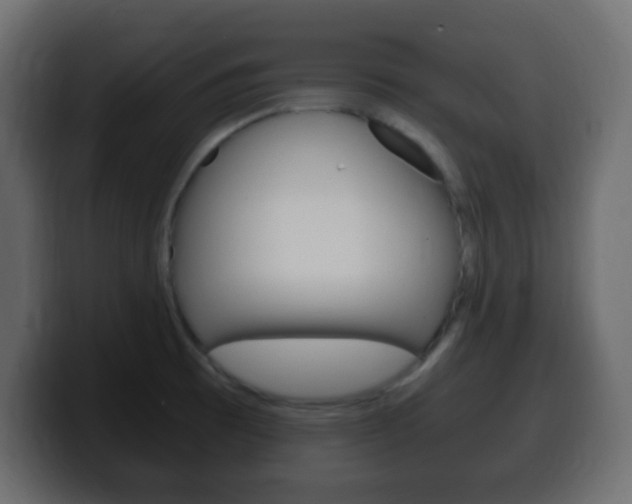 X0000100401473200806060844