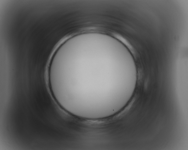 X0000100401474200806060844