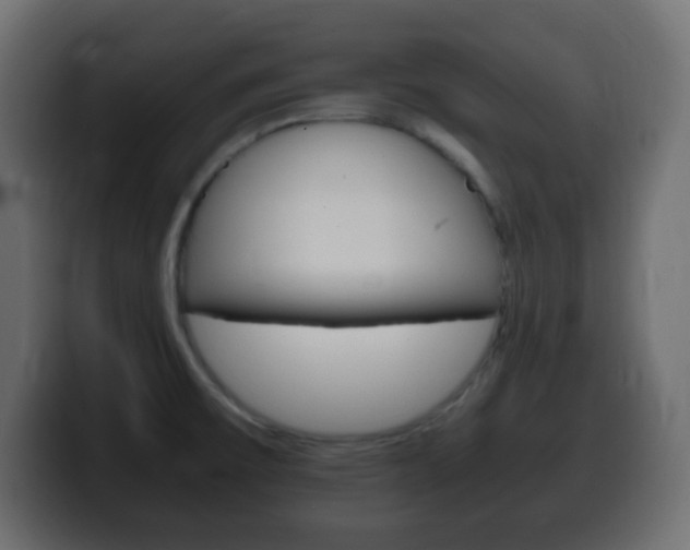 X0000100401475200806060844
