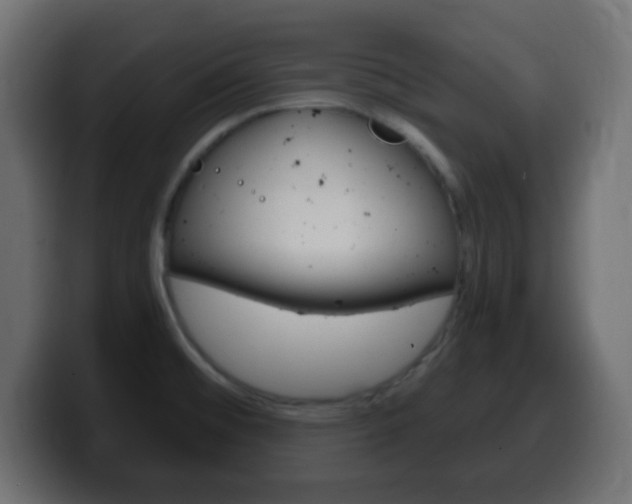 X0000100401476200806060844