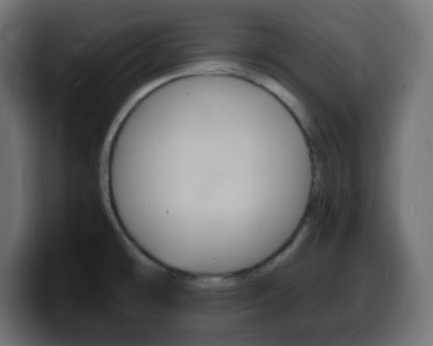 X0000100401478200806060844