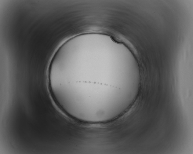 X0000100401479200806060844