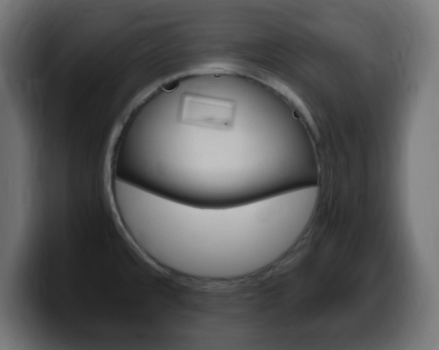 X0000100401480200806060844