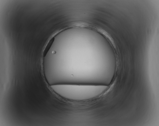 X0000100401481200806060844