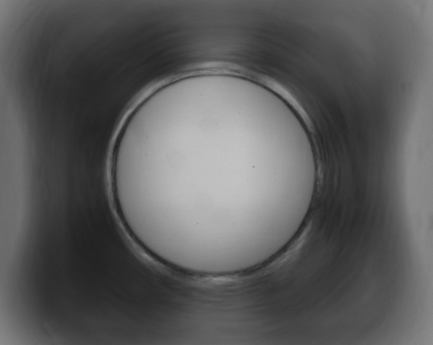 X0000100401482200806060844