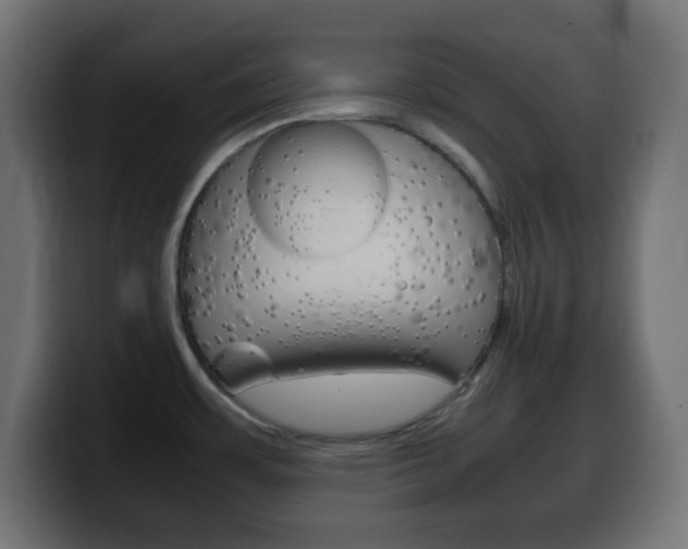 X0000100401483200806060844