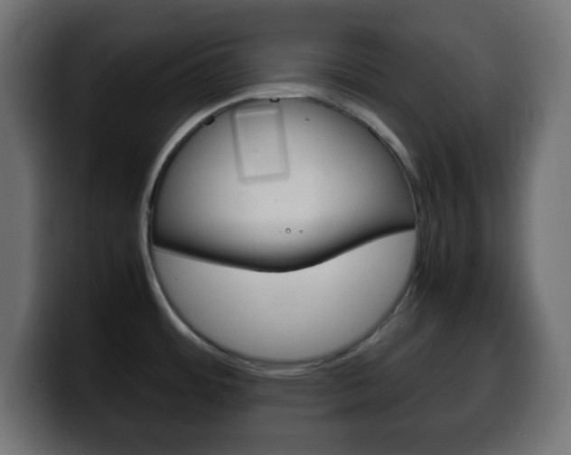 X0000100401484200806060844