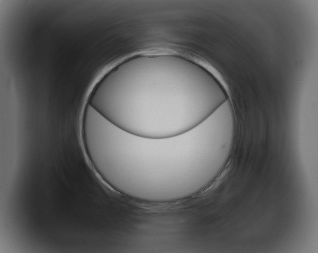 X0000100401485200806060844