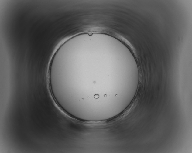 X0000100401487200806060844