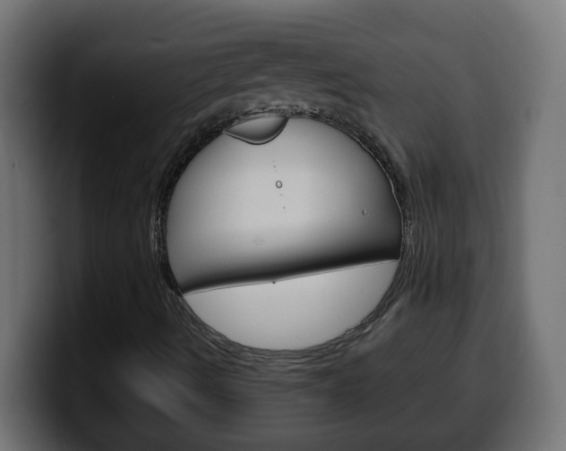 X0000100401490200806060843