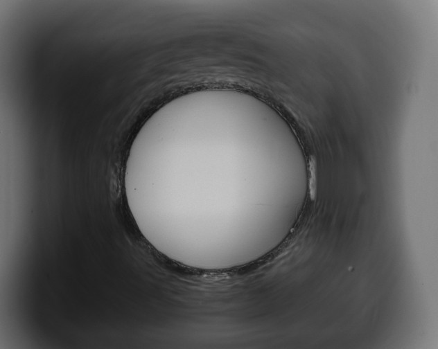 X0000100401491200806060843
