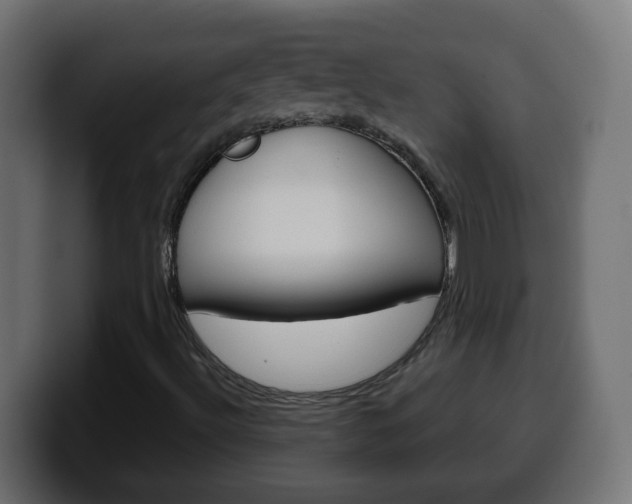 X0000100401492200806060843