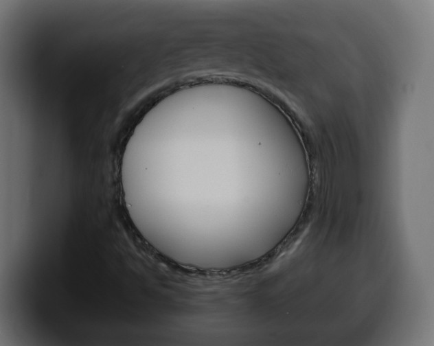 X0000100401494200806060843