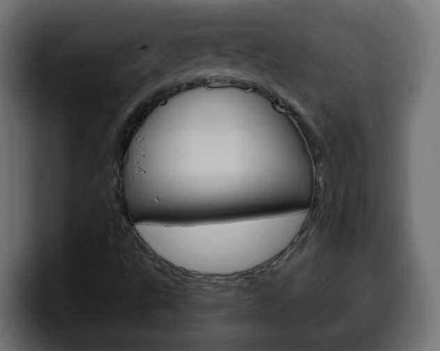 X0000100401495200806060843