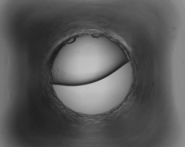 X0000100401496200806060843
