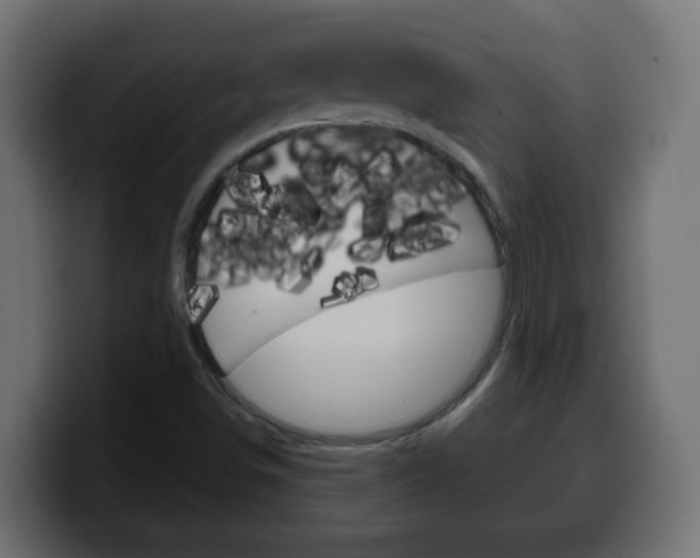 X0000100401498200806060843