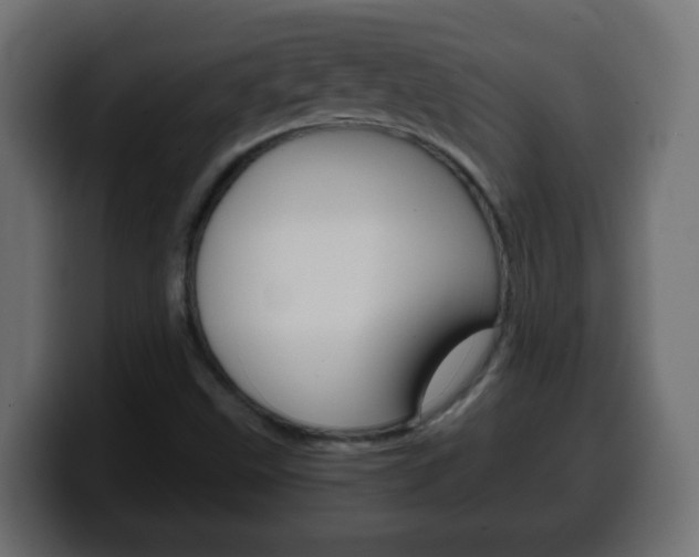 X0000100401499200806060843