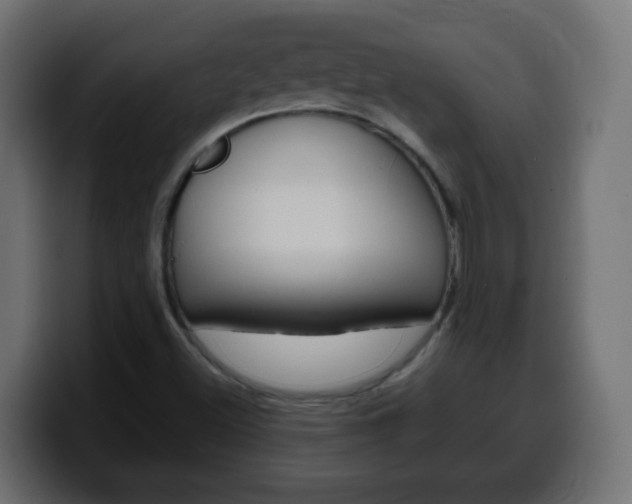 X0000100401500200806060843