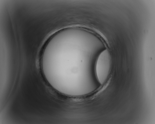 X0000100401501200806060843