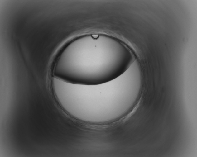 X0000100401502200806060843