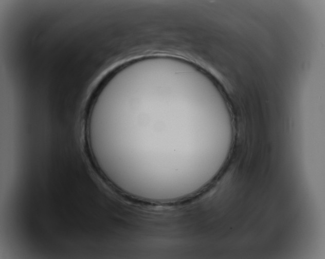 X0000100401503200806060843