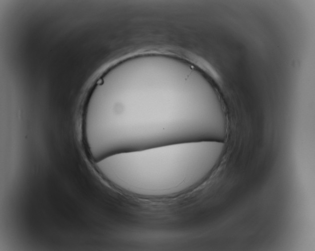 X0000100401504200806060843