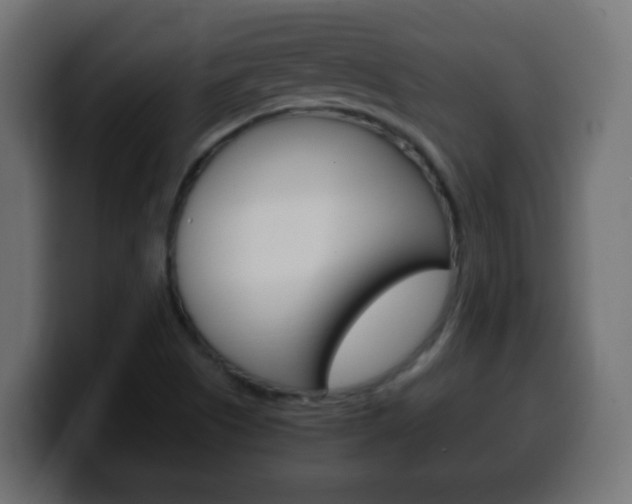 X0000100401505200806060843