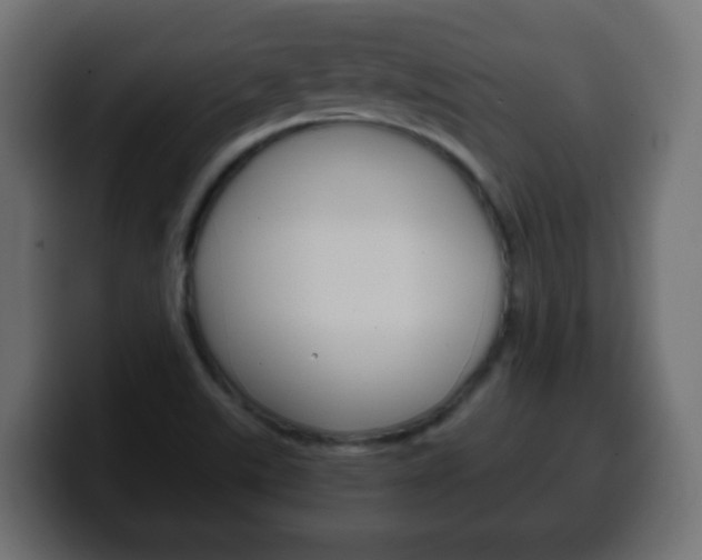 X0000100401507200806060843