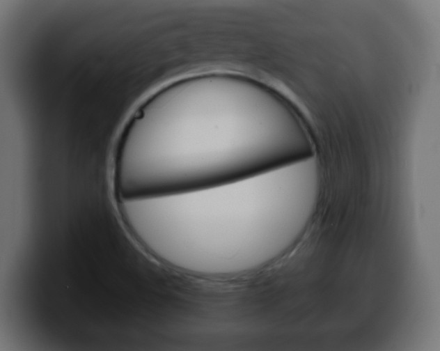 X0000100401508200806060843