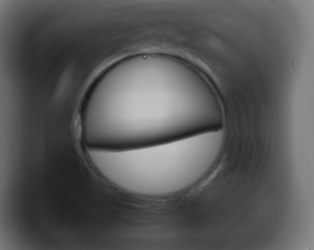 X0000100401509200806060843