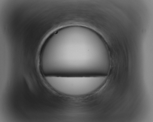 X0000100401511200806060843