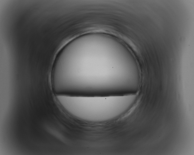 X0000100401513200806060843