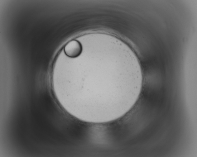 X0000100401514200806060843
