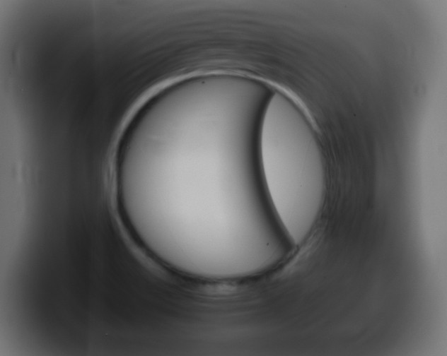 X0000100401515200806060843