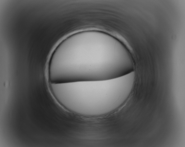 X0000100401516200806060843