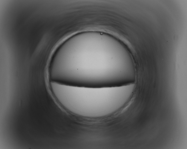 X0000100401517200806060843