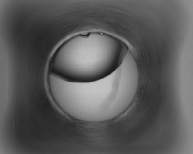 X0000100401518200806060843